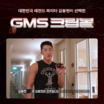 더스크랙 GMS그립볼 자이로볼 상세 이미지