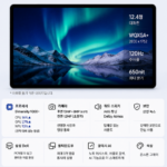 삼성전자 갤럭시탭 S10+256GB SM-X8202