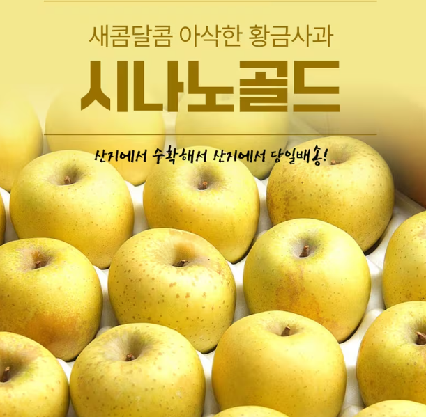경북 시나노골드 황금사과 2kg 14~16과 AP0346542566461