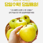 국산 시나노골드 100%