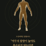 추석 부모님 선물 추천 조선비책 조선황림 발효 침향환 60환 선물세트 - 조선비책 조선황림 발효침향환 60p, 225g, 1개