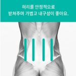 럼버웰 의료용 허리보호대 복대 1등급 의료기기 명절 선물 추천 - 럼버웰 의료용 허리보호대, 1개