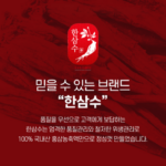 한삼수 6년근고려홍삼정 365선물세트4병, 960g1