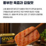 스팸 선물세트 6호 실속형 명절 햄 통조림 200g 12개 부모님 선물, 부모님 명절 선물23