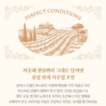 폰타나 프리미엄 오일세트 2호 식용유 선물 세트21