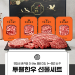 푸드지 마장동 1++(9)등급 투뿔 한우 선물세트 2호 900g 구이용 부모님 명절 선물