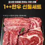 푸드지 마장동 1++(9)등급 투뿔 한우 선물세트 2호 900g 구이용 부모님 명절 선물 상세 이미지 5