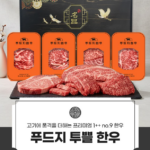 푸드지 마장동 1++(9)등급 투뿔 한우 모듬세트 부모님 명절 선물