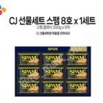 스팸 선물세트 8호 + 쇼핑백, 4세트 부모님 명절 선물