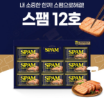 스팸 12C호 선물세트 클래식 마일드 쇼핑백 추석 가성비 좋은 거래처 명절 선물 상품 이미지 1
