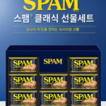 스팸 선물세트 12호 (쇼핑백포함) 가성비 좋은 거래처나 부모님 명절 선물 상품 이미지 1