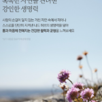 나드 바디로션 라벤더머스크 부드럽고 편안한 데일리 보습 500ml 1개 상품 이미지 5