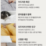 그래이불 국내산 100수 수피마 코튼 차렵이불 부드러운 촉감과 고급스러운 스타일 상품 이미지 3